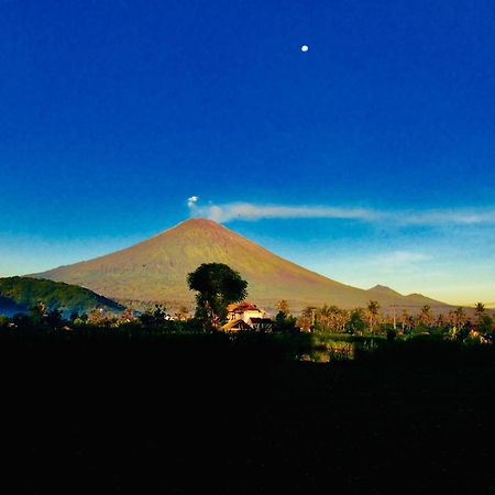 D'Uma Amed Homestay エクステリア 写真