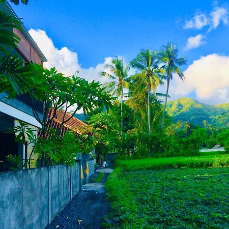 D'Uma Amed Homestay エクステリア 写真