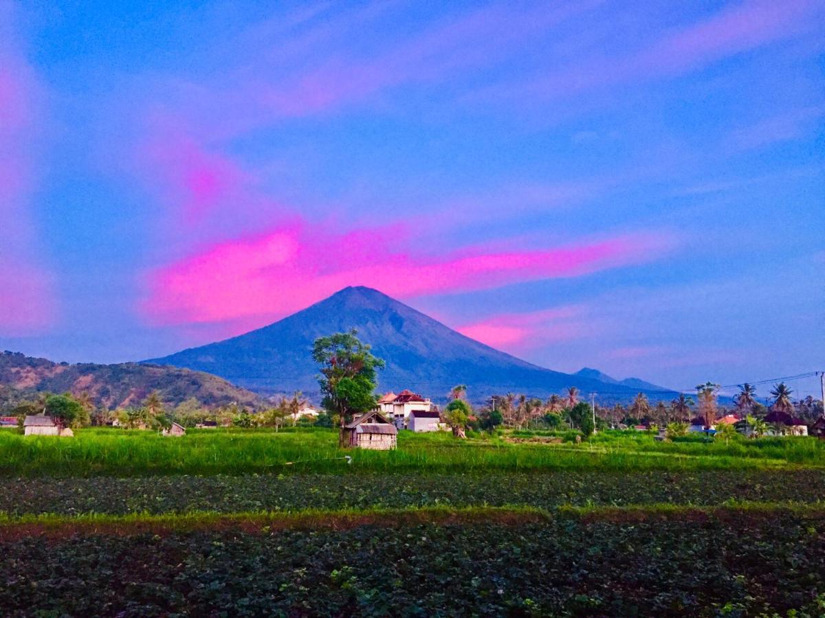 D'Uma Amed Homestay エクステリア 写真