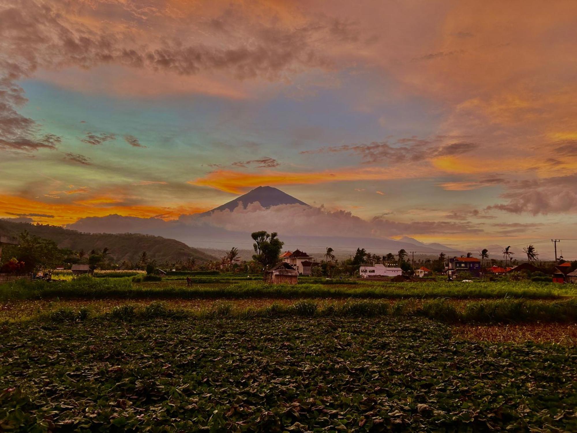D'Uma Amed Homestay エクステリア 写真
