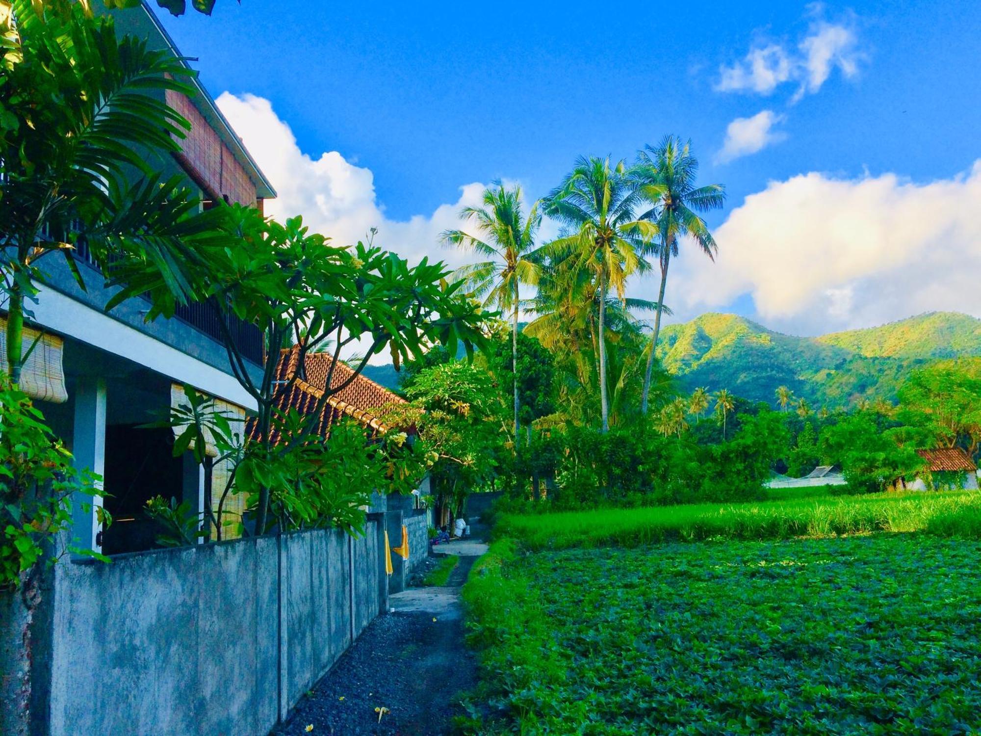 D'Uma Amed Homestay エクステリア 写真