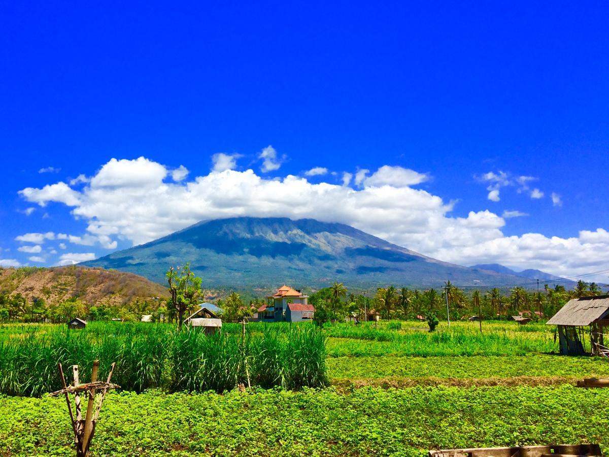 D'Uma Amed Homestay エクステリア 写真