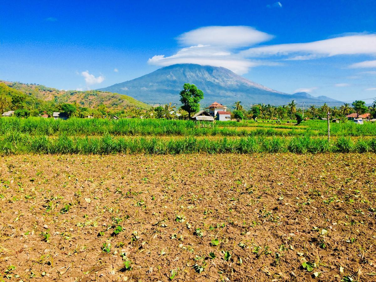 D'Uma Amed Homestay エクステリア 写真