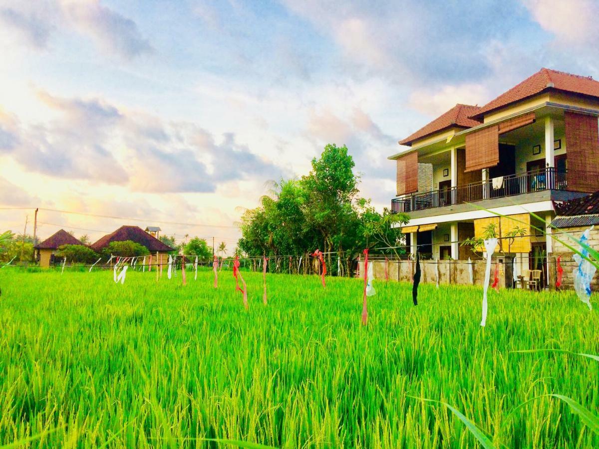 D'Uma Amed Homestay エクステリア 写真