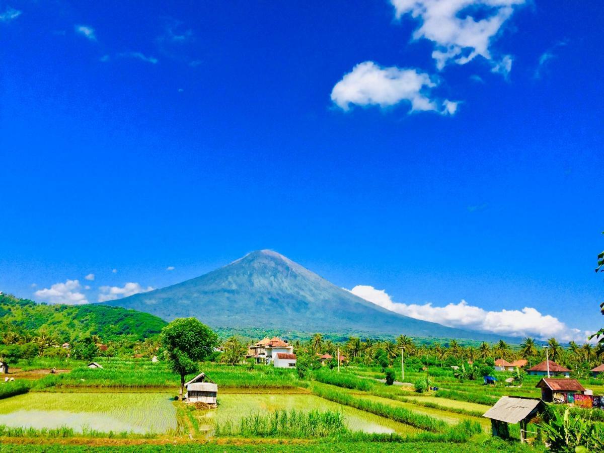 D'Uma Amed Homestay エクステリア 写真