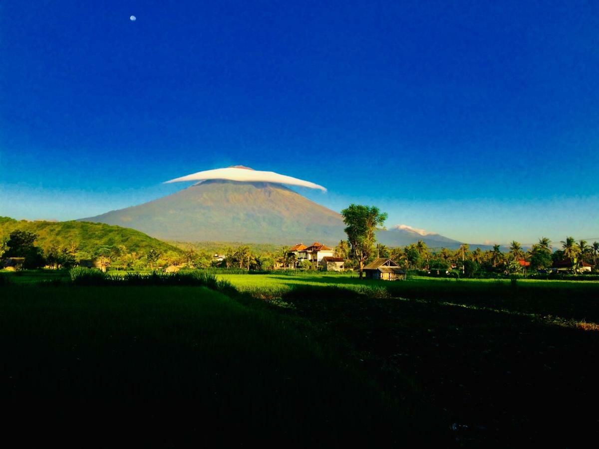 D'Uma Amed Homestay エクステリア 写真