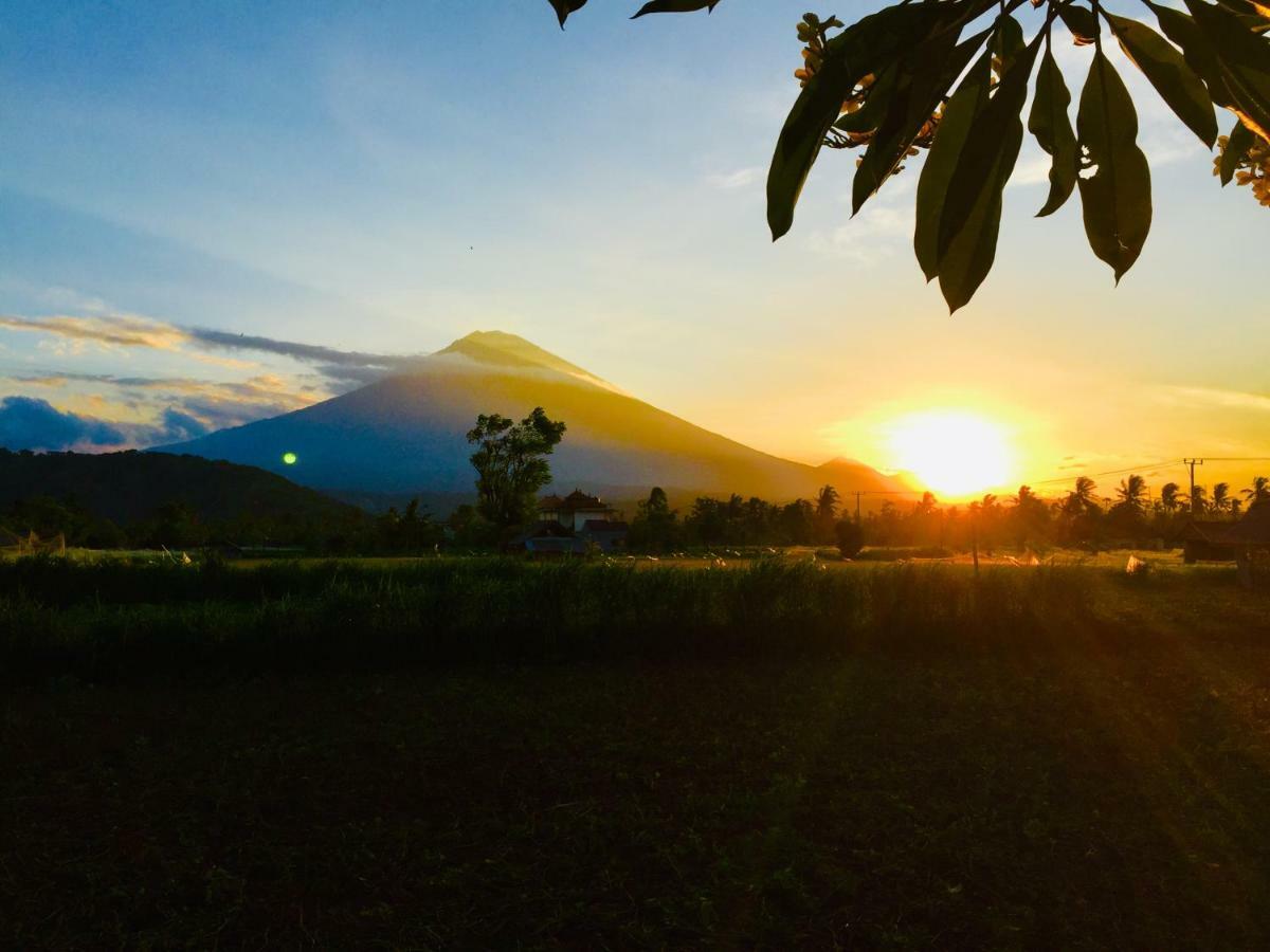 D'Uma Amed Homestay エクステリア 写真