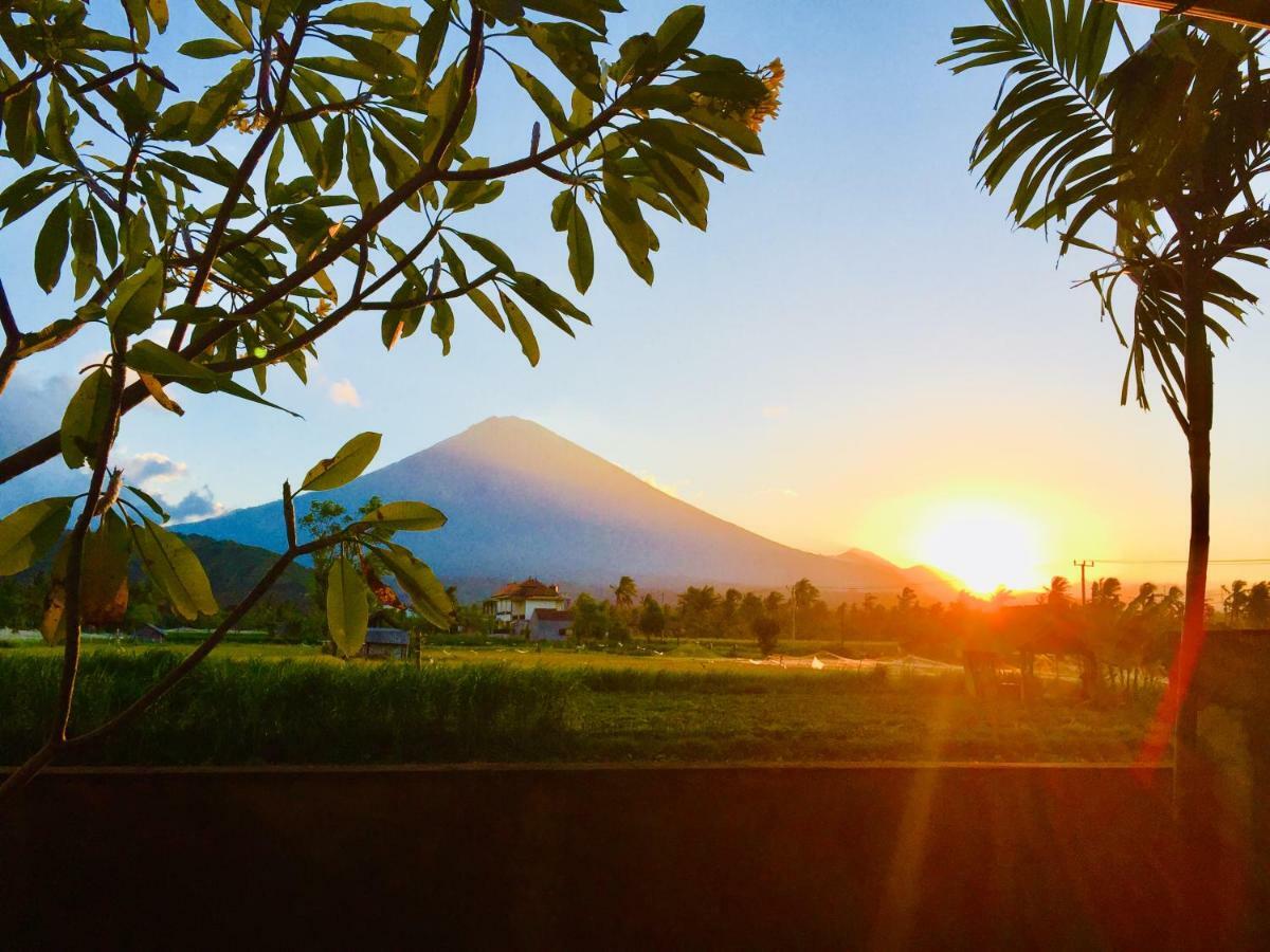 D'Uma Amed Homestay エクステリア 写真