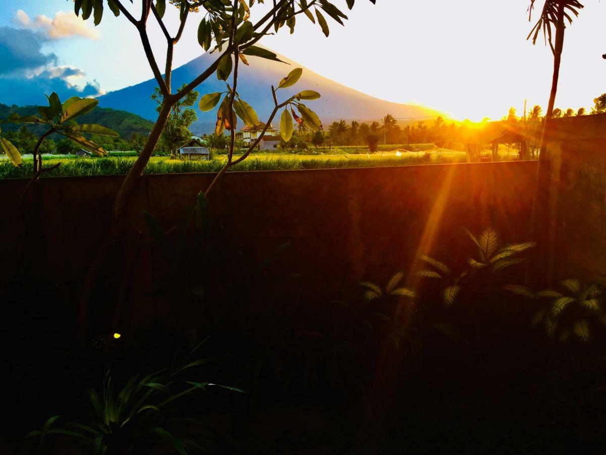 D'Uma Amed Homestay エクステリア 写真