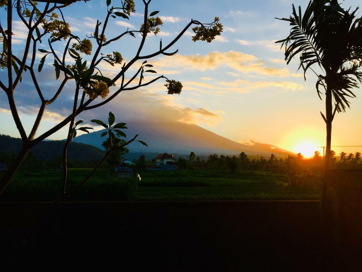 D'Uma Amed Homestay エクステリア 写真