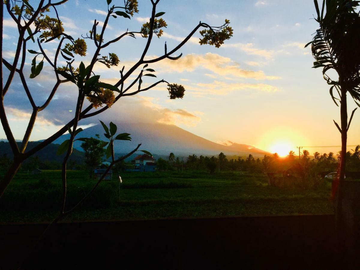D'Uma Amed Homestay エクステリア 写真