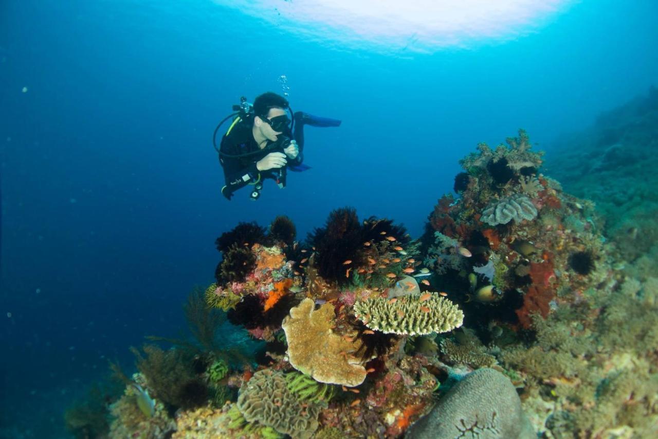D'Uma Amed Homestay エクステリア 写真